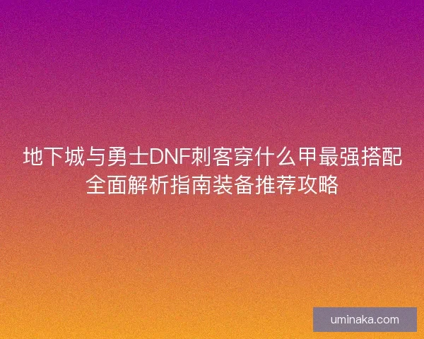 地下城与勇士DNF刺客穿什么甲最强搭配全面解析指南装备推荐攻略